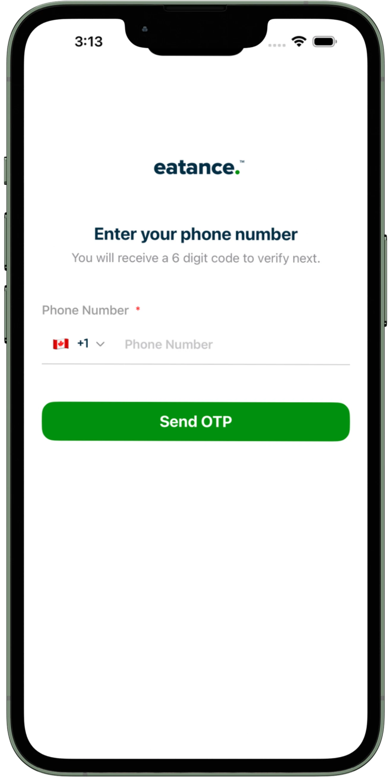 Store App Mockup